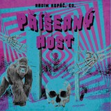 Audiokniha Příšerný host - Kajetán Písařovic, Různí, Kopáč Radim