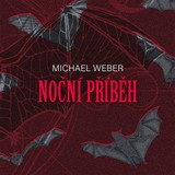 Audiokniha Noční příběh - Michael Weber, Radim Dlesk
