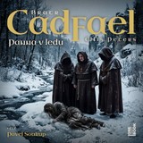 Audiokniha Panna v ledu - Peters Ellis, Pavel Soukup