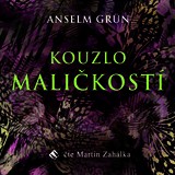Audiokniha Kouzlo maličkostí - Anselm Grün, Martin Zahálka