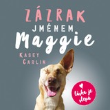 Audiokniha Zázrak jménem Maggie - Kasey Carlin, Anna Julie Slováčková