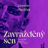 Audiokniha Zavražděný sen a jiné povídky - Jaroslav Havlíček, Igor Bareš