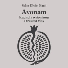 Audiokniha Avonam - Martin Dusbaba, Sidon Efraim Karol
