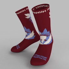 Audiokniha Ponožky Poslední Mohykán - Tympanum