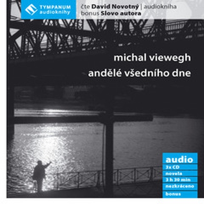 Audiokniha Andělé všedního dne - David Novotný, Michal Viewegh