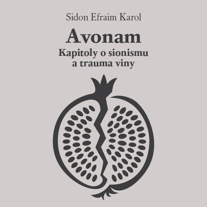 Audiokniha Avonam - Martin Dusbaba, Sidon Efraim Karol
