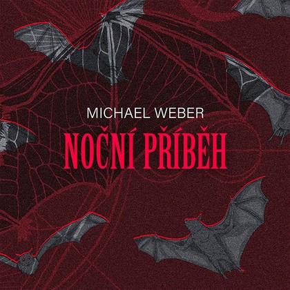 Audiokniha Noční příběh - Radim Dlesk, Michael Weber