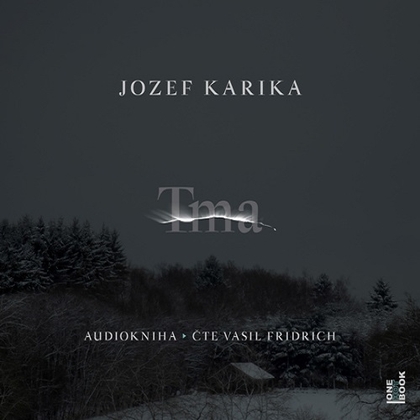 Audiokniha Tma - Vasil Fridrich, Josef Karika