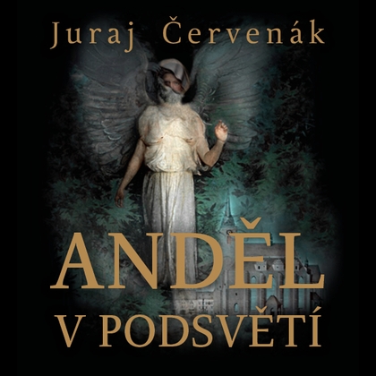 Audiokniha Anděl v podsvětí - Marek Holý, Juraj Červenák