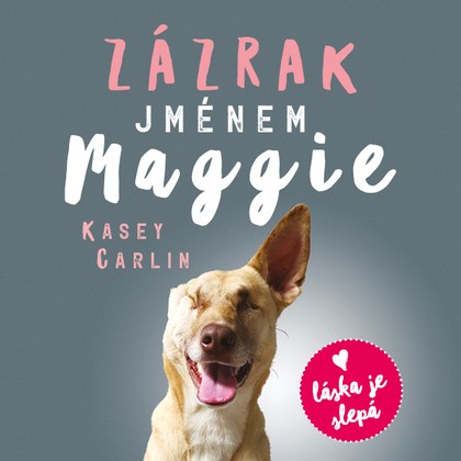 Audiokniha Zázrak jménem Maggie - Anna Julie Slováčková, Kasey Carlin