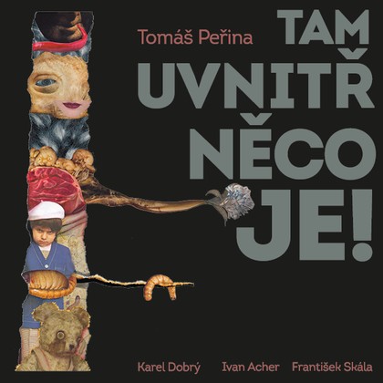 Audiokniha Tam uvnitř něco je - Karel Dobrý, Tomáš Peřina