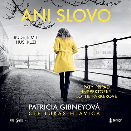 Audiokniha Ani slovo - Lukáš Hlavica, Patricia Gibneyová